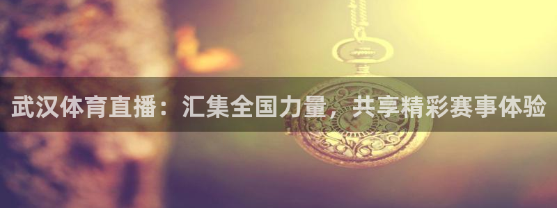 体育极速直播在线观看：武汉体育直播：汇集全国力量，共享精彩赛事体验