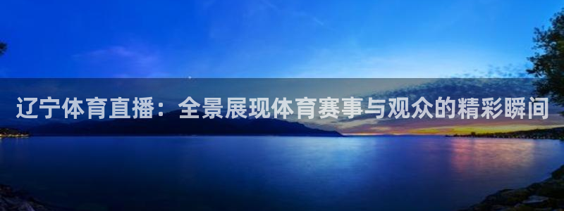 极速体育在线直播：辽宁体育直播：全景展现体育赛事与观众的精彩瞬间