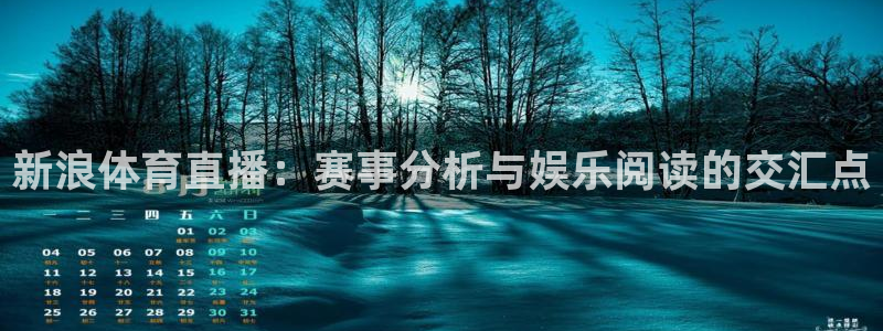nba直播极速体育直：新浪体育直播：赛事分析与娱乐阅读的交汇点