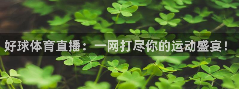 nba在线直播吧极速体育：好球体育直播：一网打尽你的运动盛宴！