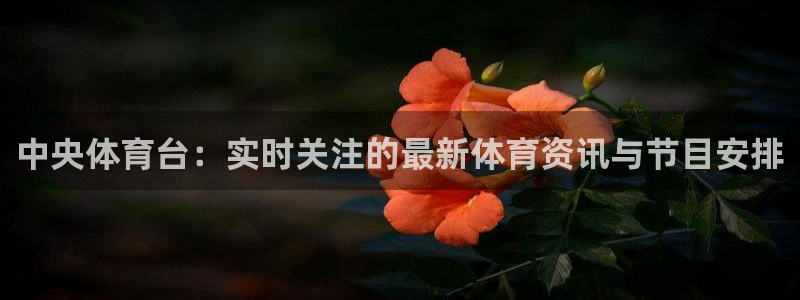 极速体育免费观看：中央体育台：实时关注的最新体育资讯与节目安排
